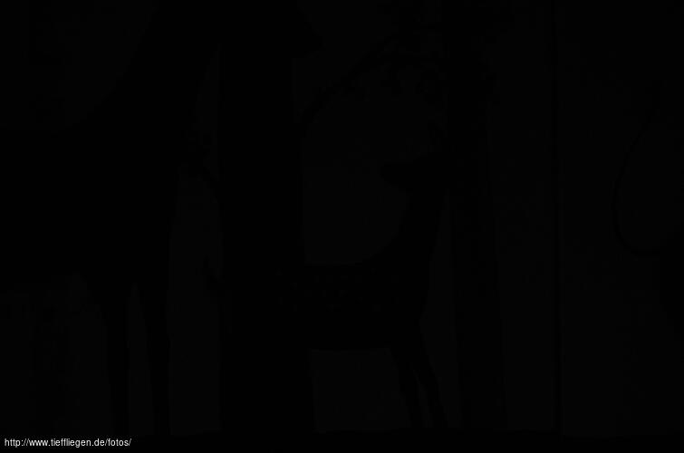 dings-Foto37-20150830113849.jpg