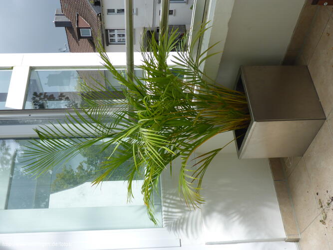 dings-Foto38-20150906125752.jpg