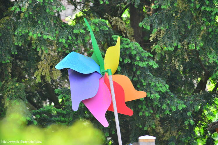 dings-Foto52-800_0555.jpg