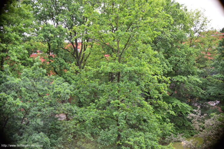 dings-Foto46-800_8300.jpg