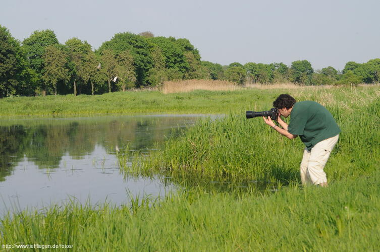 Schwan-Foto7-DSC_5101.jpg