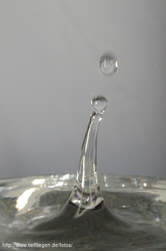 sw-Foto5-DSC_5919.jpg