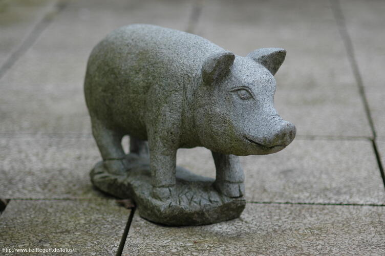 Testbilder-Foto80-xDSC_0205.jpg
