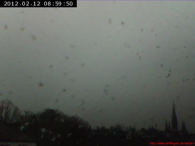 02.2012-12.02.2012-20120212090004.jpg