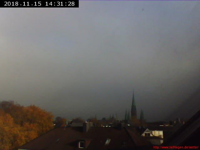 11.2018-15.11.2018-20181115133150.jpg