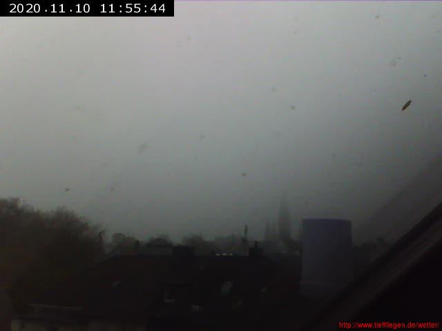 11.2020-10.11.2020-20201110105556.jpg